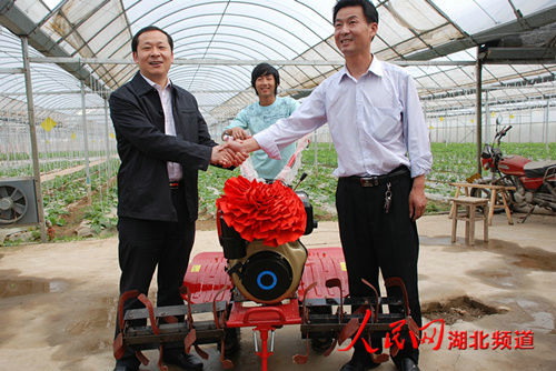 湖北省鄉村振興局黨組成員、副局長楊遙來我公司基地調研指導工作